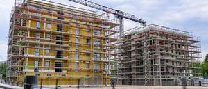 Auf einer Baustelle entstehen Mehrfamilienhäuser mit vielen Wohneinheiten.