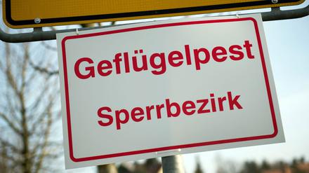 Nach dem Ausbruch der Geflügelpest in einem Betrieb in der Gemeinde Neuhardenberg (Kreis Märkisch-Oderland) gelten für andere Halter in einem Umkreis besondere Auflagen. (Symbolbild) 