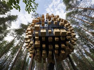 Das Treehotel im schwedischen Lappland.