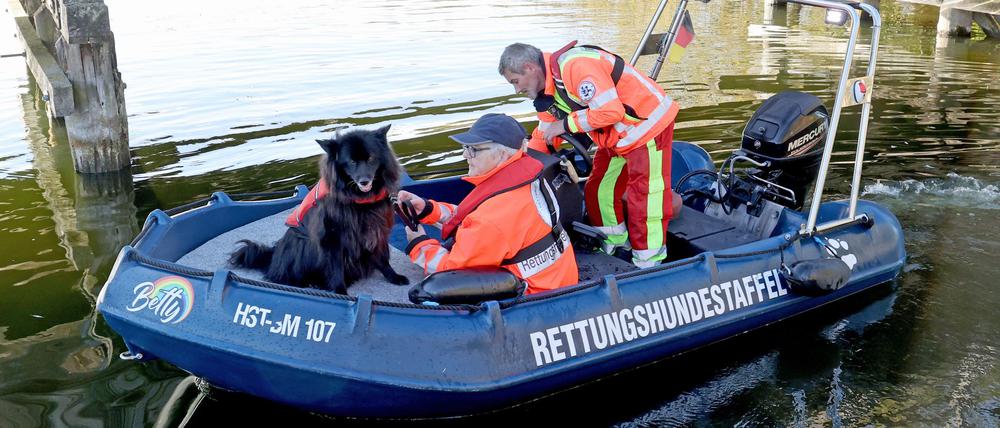 Leichensuchhunde haben laut Polizei auf dem Inselsee am Stadtrand von Güstrow angeschlagen. Nun sollen Taucher klären, ob der seit Freitag verschwundene Achtjährige möglicherweise am Grund des Sees liegt.