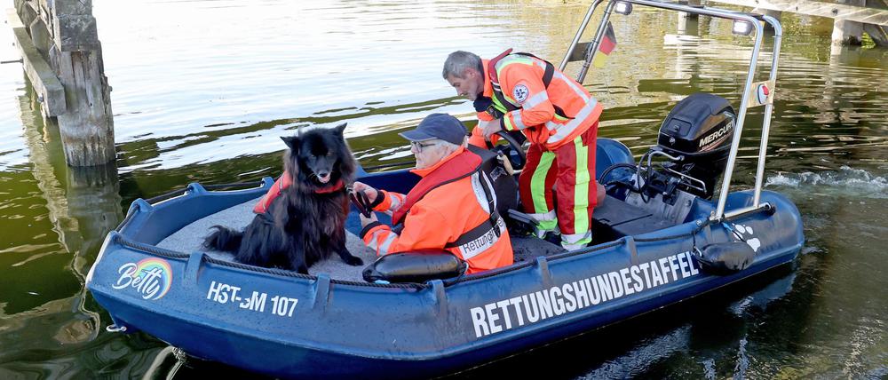 Spürhunde haben laut Polizei auf dem Inselsee am Stadtrand von Güstrow angeschlagen. Am Dienstagmorgen sollen Taucher in dem Bereich zum Einsatz kommen.