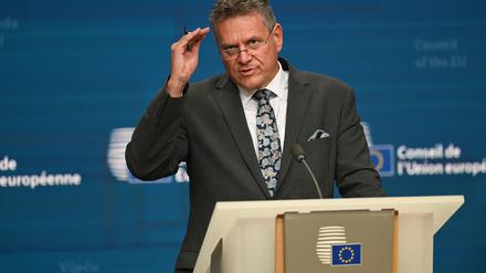Bekommt wegen Chinas Kurs besorgte Anrufe aus der Autoindustrie: EU-Handelskommissar Maros Sefcovic. (Archivbild)