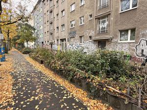 Selbstgemachte Abwehr gegen Kreuzberger Junkies: Der „natürliche Zaun“ in der Wiener Straße.