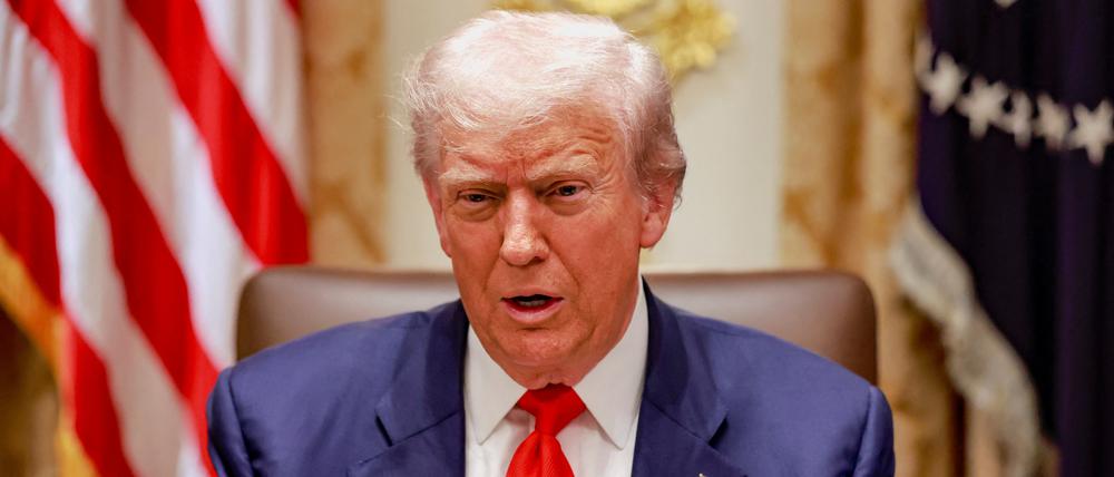 US-Präsident Donald Trump gestikuliert während eines Mittagessens mit dem argentinischen Präsidenten Javier Milei (nicht im Bild) im Kabinettssaal des Weißen Hauses.