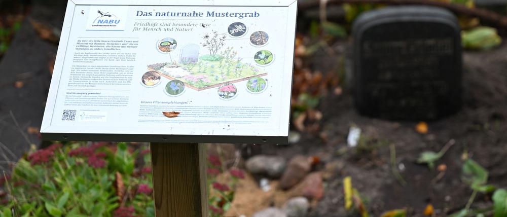 Naturnahes Mustergrab in Berlin.