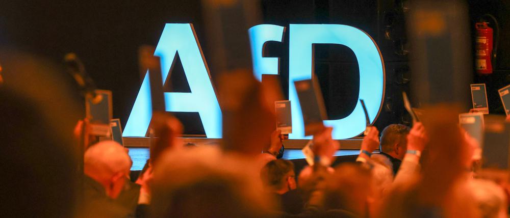 Delegierte gehen vor dem Parteilogo bei dem AfD-Bundesparteitag im Juli 2023 in Magdeburg.