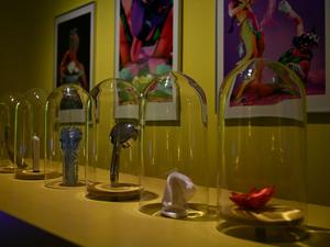 Auch Brausen taugen als Sextoy. „Apropos Sex“ stellt sie vorsichtshalber unter Glas aus. 