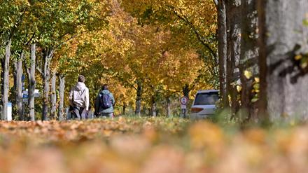 Herbstlaub in der russischen Kolonie Alexandrowka in Potsdam.