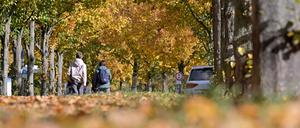 Herbstlaub in der russischen Kolonie Alexandrowka in Potsdam.