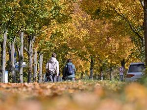 Herbstlaub in der russischen Kolonie Alexandrowka in Potsdam.