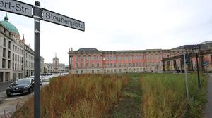 Der Steubenplatz ist eine Brache in Potsdams Mitte. Der Zustand könnte dauerhaft so beiben.