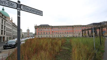 Der Steubenplatz ist eine Brache in Potsdams Mitte. Der Zustand könnte dauerhaft so beiben.