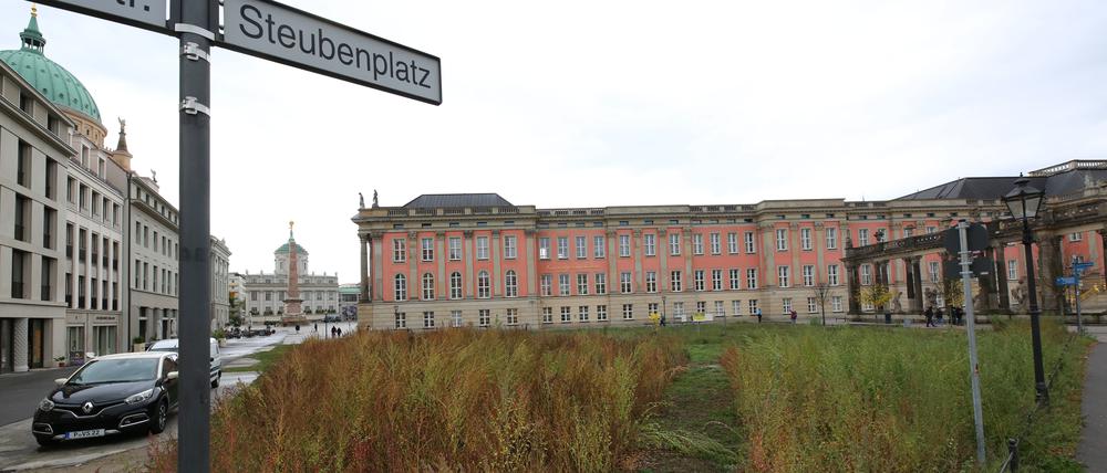 Der Steubenplatz ist eine Brache in Potsdams Mitte. Der Zustand könnte dauerhaft so beiben.