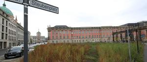 Der Steubenplatz ist eine Brache in Potsdams Mitte. Der Zustand könnte dauerhaft so beiben.