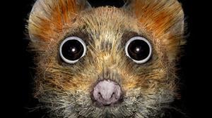 DOOM SNOOZERS
Spreepark Art Space, Matthias Böhler & Christian Orendt