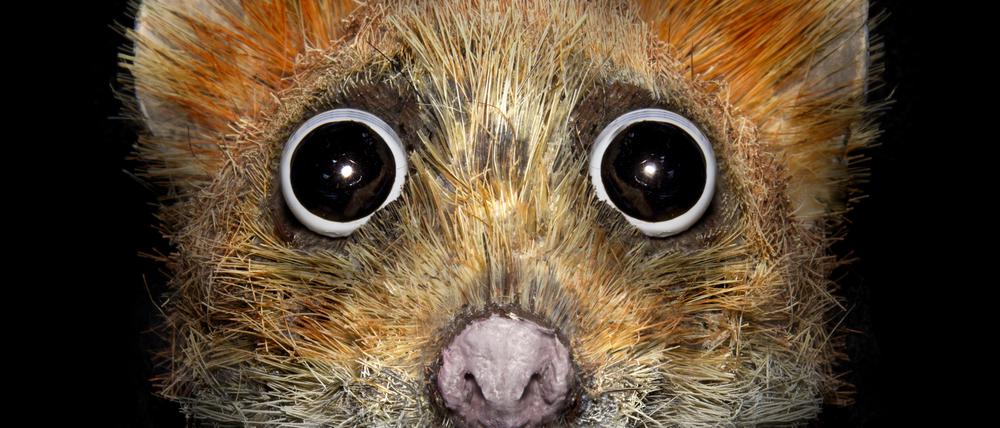 DOOM SNOOZERS
Spreepark Art Space, Matthias Böhler & Christian Orendt