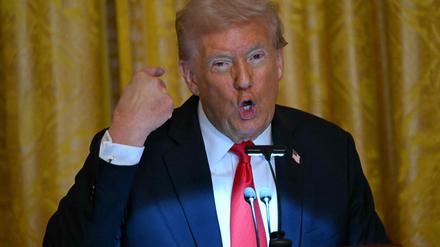 US-Präsident Donald Trump.