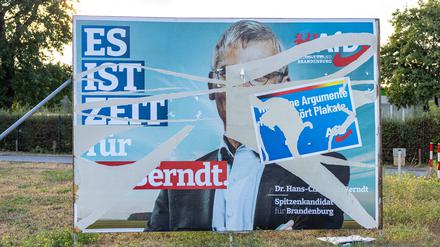 Ein zerissenes Wahlplakat der AfD mit dem Slogan „Es ist Zeit für Dr. Bernd“