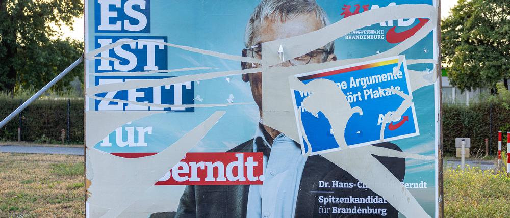 Ein zerissenes Wahlplakat der AfD mit dem Slogan „Es ist Zeit für Dr. Bernd“