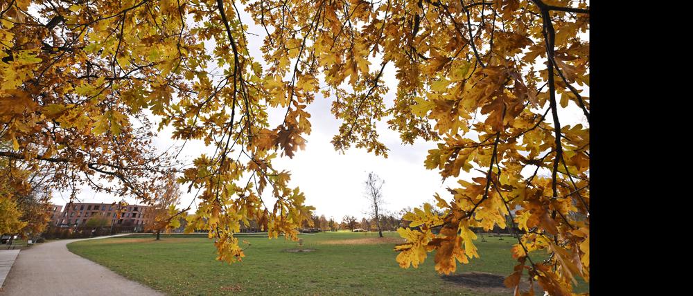 Herbst im Volkspark.