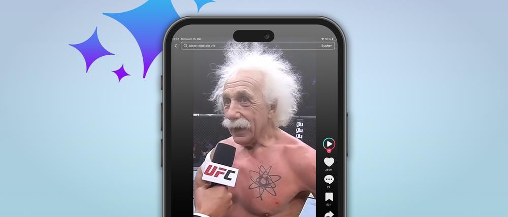 Albert Einstein als Ultimate Fighter