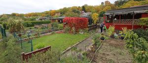 Die Kleingartenanlage an der Amundsenstraße ist bedroht.