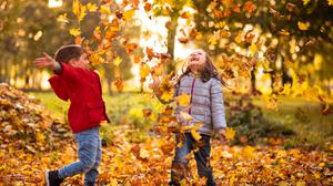 Wälder und Wiesen fördern Entwicklung und Gesundheit von Kindern, die dort spielen.