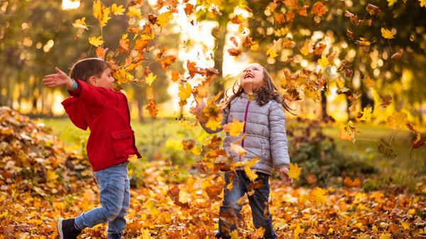 Wälder und Wiesen fördern Entwicklung und Gesundheit von Kindern, die dort spielen.