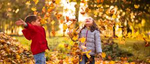 Wälder und Wiesen fördern Entwicklung und Gesundheit von Kindern, die dort spielen.