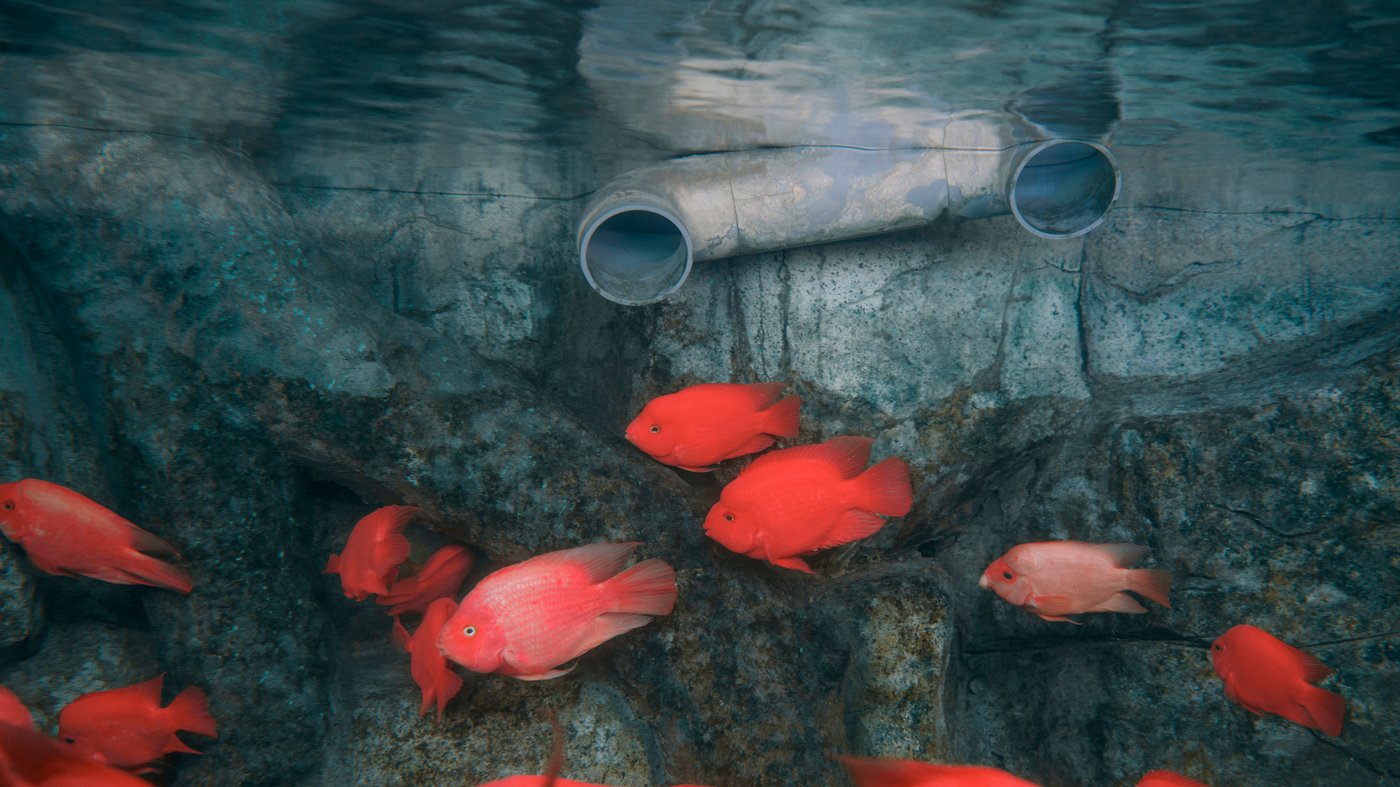 -Ein-Planet-viele-Welten-von-Dipesh-Chakrabarty-ber-die-Auswirkungen-des-Menschen-beim-Klimawandel