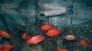 Alles fürs Aquarium. Die Jinan Quancheng Ocean and Polar World in der chinesischen Provinz Shandong, Bei den Sony World Photography Awards preisgekrönte Aufnahme des britischen Fotografen Zed Nelson.