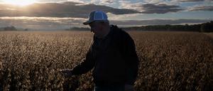 Die Sojaernte in den USA ist im Gange, und im ländlichen Maryland öffnet Bauer Travis Hutchison eine Schote, um zu zeigen, dass das Feld fast trocken genug für die Ernte ist.