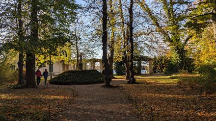 Herbst im Volkspark Glienicke. 