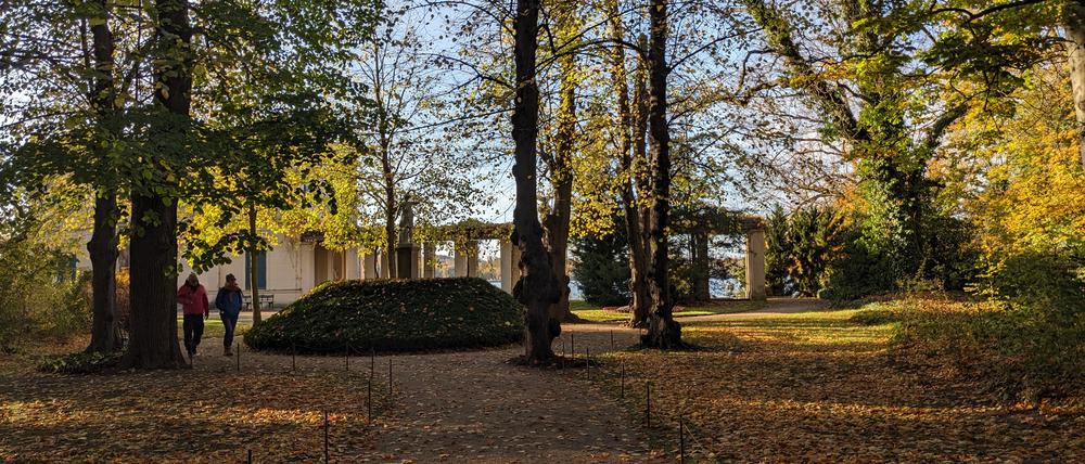 Herbst im Volkspark Glienicke. 