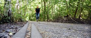 Das Schöneberger Südgelände ist einer der Parks, die die Grün Berlin zur Anpassung an den Klimawandel umgesetzt hat - mit Investitionsmitteln des Landes Berlin.