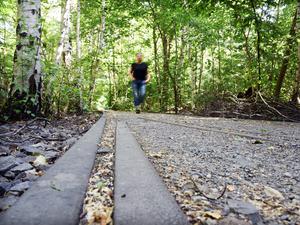 Das Schöneberger Südgelände ist einer der Parks, die die Grün Berlin zur Anpassung an den Klimawandel umgesetzt hat - mit Investitionsmitteln des Landes Berlin.