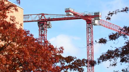 Zwei Baukräne sind am Himmel hinter herbstlichen Bäumen neben einem Gebäude zu sehen.