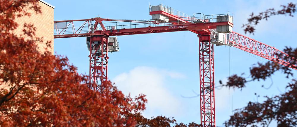 Zwei Baukräne sind am Himmel hinter herbstlichen Bäumen neben einem Gebäude zu sehen. 