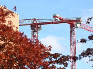 Zwei Baukräne sind am Himmel hinter herbstlichen Bäumen neben einem Gebäude zu sehen. 