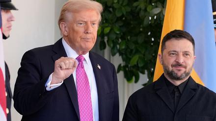 US-Präsident Donald Trump (l) gestikuliert neben dem ukrainischen Präsidenten Wolodymyr Selenskyj beim Empfang im Weißen Haus.