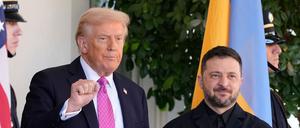 US-Präsident Donald Trump (l) gestikuliert neben dem ukrainischen Präsidenten Wolodymyr Selenskyj beim Empfang im Weißen Haus. 