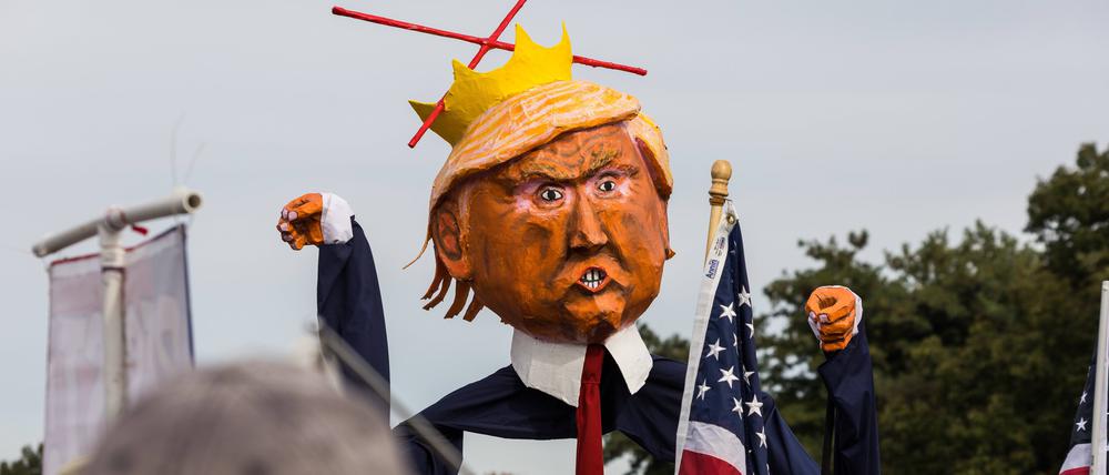 Demonstranten zeigen ihren Unmut über Donald Trump.