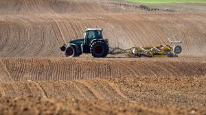 Uckermark GER, Deutschland, 20251003,Uckermark, Traktor auf dem Feld *** Uckermark GER, Germany, 20251003,Uckermark, Tractor in the field