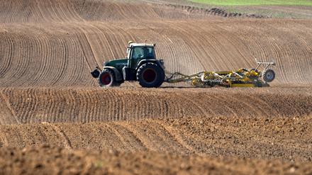 Uckermark GER, Deutschland, 20251003,Uckermark, Traktor auf dem Feld *** Uckermark GER, Germany, 20251003,Uckermark, Tractor in the field