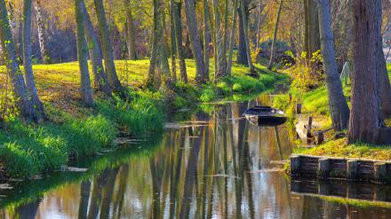 Die Wasserführung der Spree wird sich nach Ende des Braunkohleabbaus verändern.