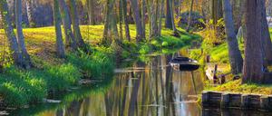 Die Wasserführung der Spree wird sich nach Ende des Braunkohleabbaus verändern.