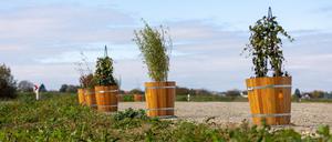Blumenkübel stehen auf dem Firmengelände von Herrenknecht (Archivbild).