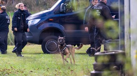 Leichenspürhund durchsuchen das Grundstück.