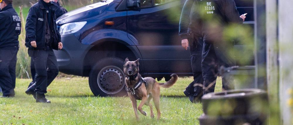 Leichenspürhund durchsuchen das Grundstück.