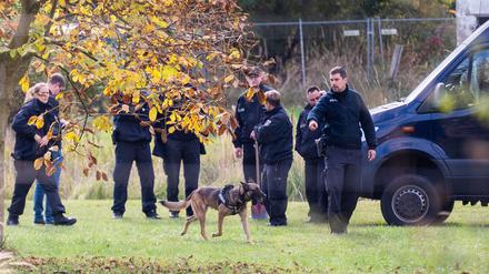 Ein Leichenspürhund durchsucht ein Grundstück im Landkreis Oder-Spree.